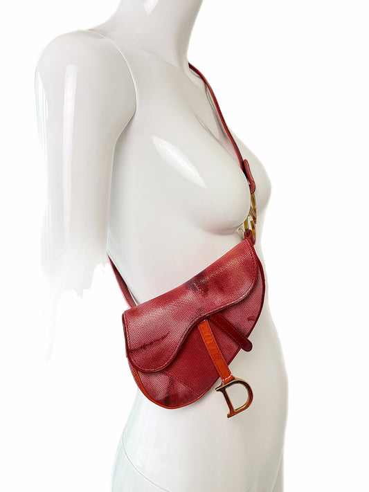DIOR by JOHN GALLIANO 2001 Vintage Ombre Mini Crossbody Saddle Bag