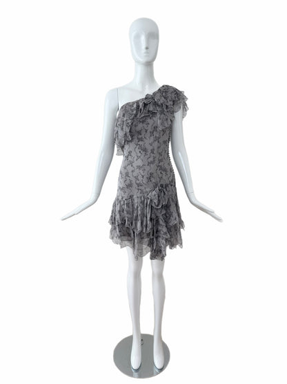 DIOR by JOHN GALLIANO 2010 Vintage Runway Silk Grey Ruffle Dress