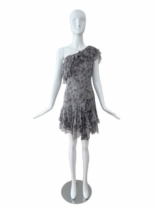 DIOR by JOHN GALLIANO 2010 Vintage Runway Silk Grey Ruffle Dress