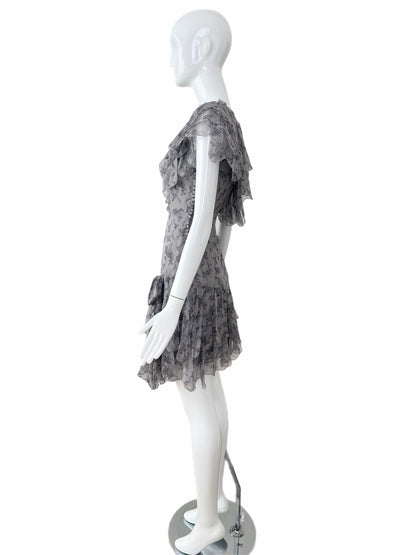 DIOR by JOHN GALLIANO 2010 Vintage Runway Silk Grey Ruffle Dress