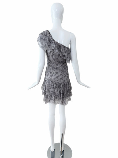 DIOR by JOHN GALLIANO 2010 Vintage Runway Silk Grey Ruffle Dress