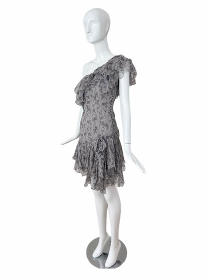 DIOR by JOHN GALLIANO 2010 Vintage Runway Silk Grey Ruffle Dress