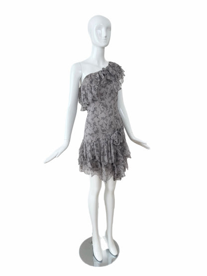 DIOR by JOHN GALLIANO 2010 Vintage Runway Silk Grey Ruffle Dress
