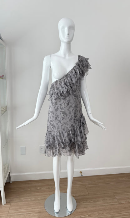 DIOR by JOHN GALLIANO 2010 Vintage Runway Silk Grey Ruffle Dress