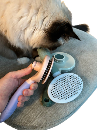 chic & modern cute pet cat brush self cleaning